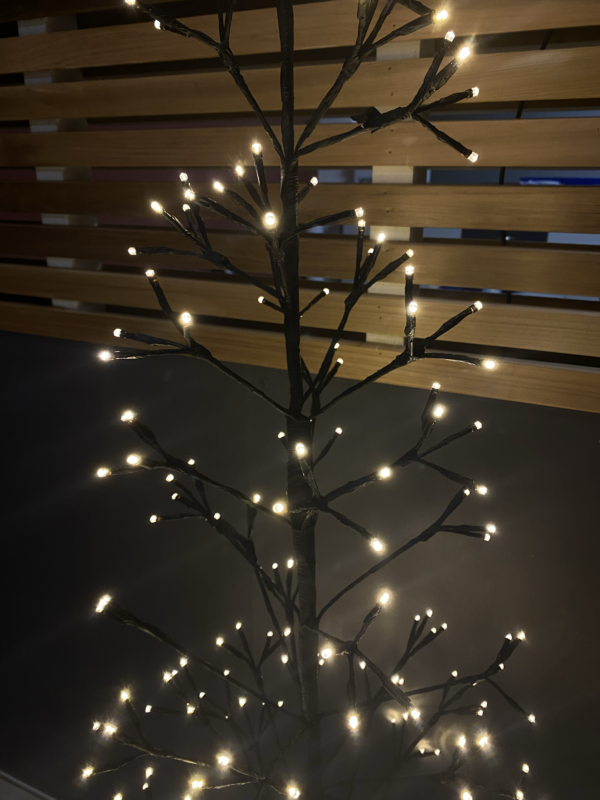 Photo du sapin de Noël LED en location chez Private Garden