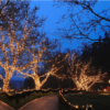 photo exemple : Guirlande de Noël connectable en location chez Private Garden