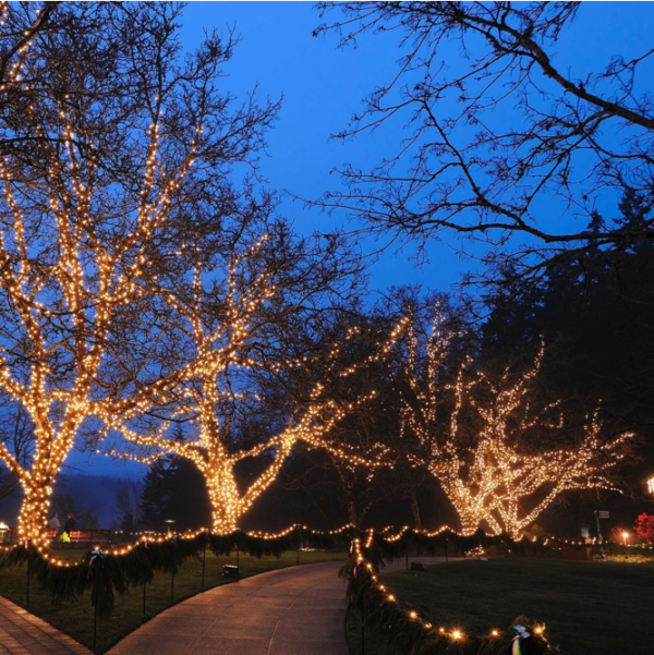photo exemple : Guirlande de Noël connectable en location chez Private Garden